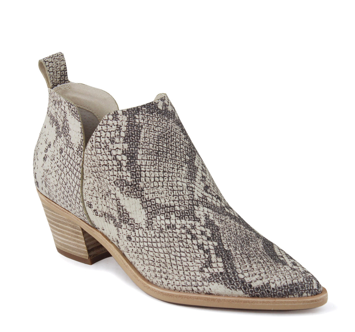 Dolce vita 2024 shay bootie snake